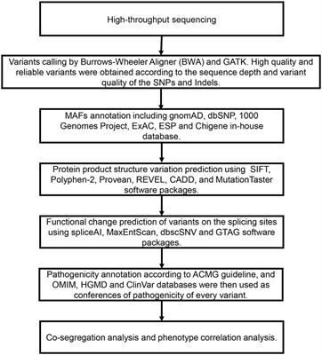 Expansion of the mutation spectrum and phenotype of USP7-related neurodevelopmental disorder